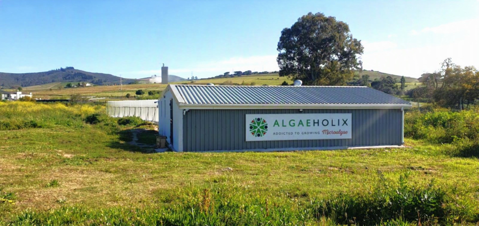 Algaeholix Processing Facilities